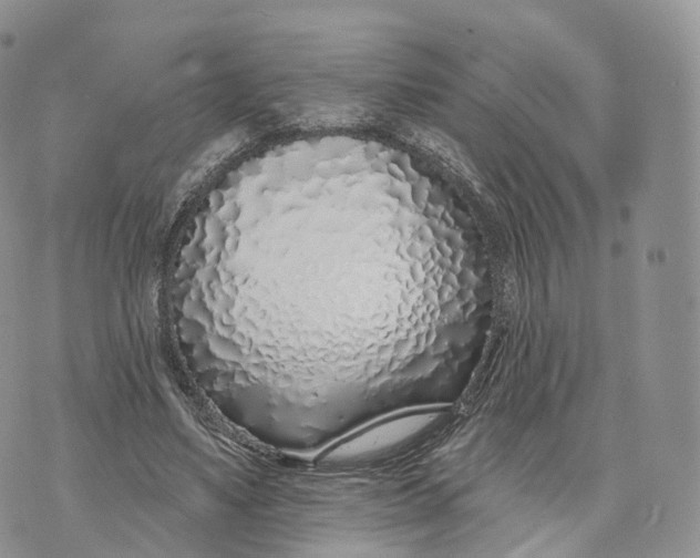 X0000072940491200608111604