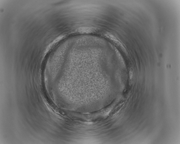 X0000072940492200608111604