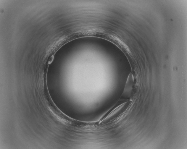 X0000072940493200608111604