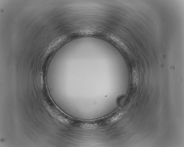 X0000072940494200608111604