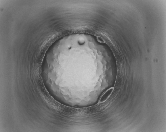 X0000072940495200608111604