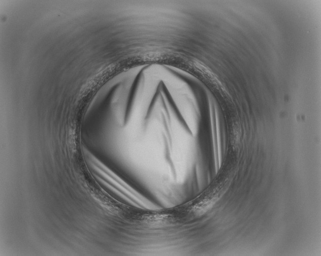 X0000072940497200608111604