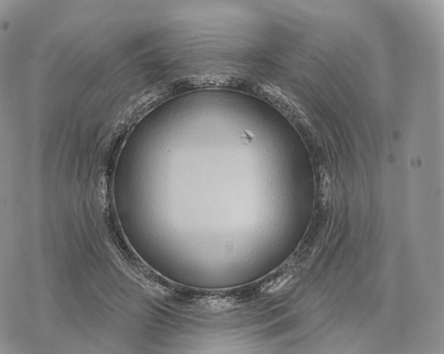 X0000072940498200608111604