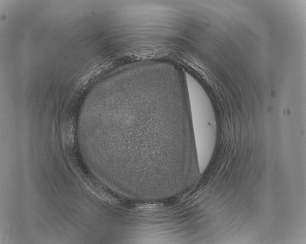 X0000072940499200608111604