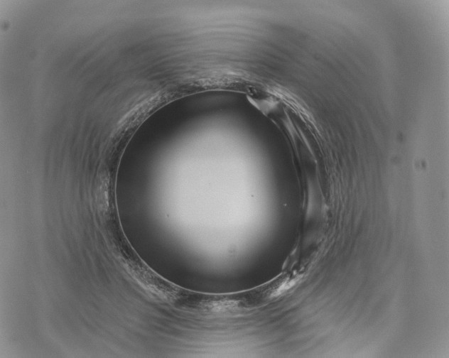 X0000072940501200608111604