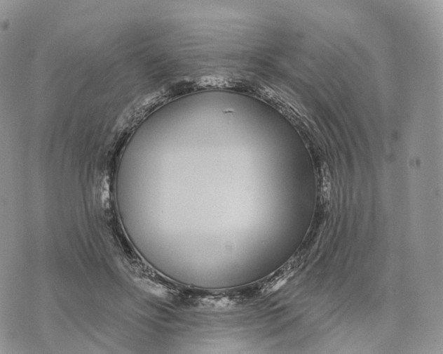 X0000072940502200608111604