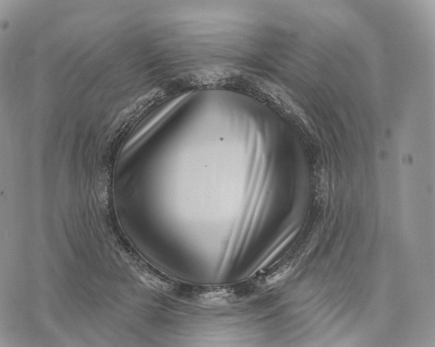 X0000072940505200608111604