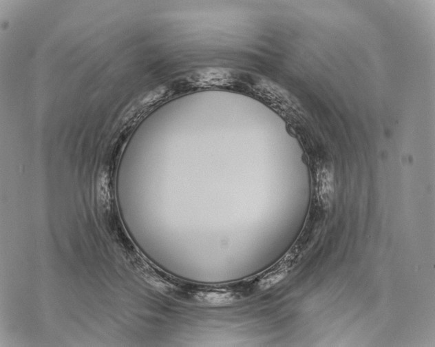 X0000072940506200608111604