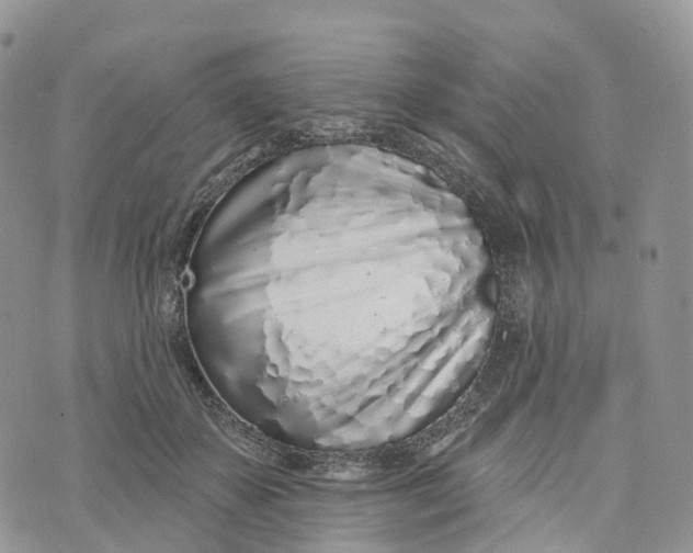 X0000072940507200608111604