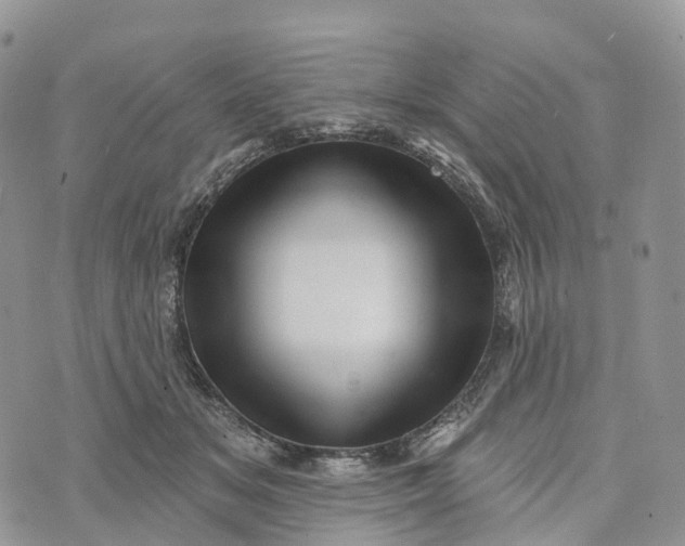 X0000072940509200608111604