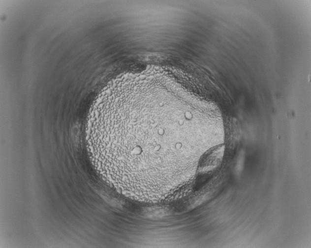 X0000072940511200608111604