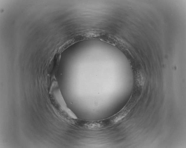 X0000072940512200608111604