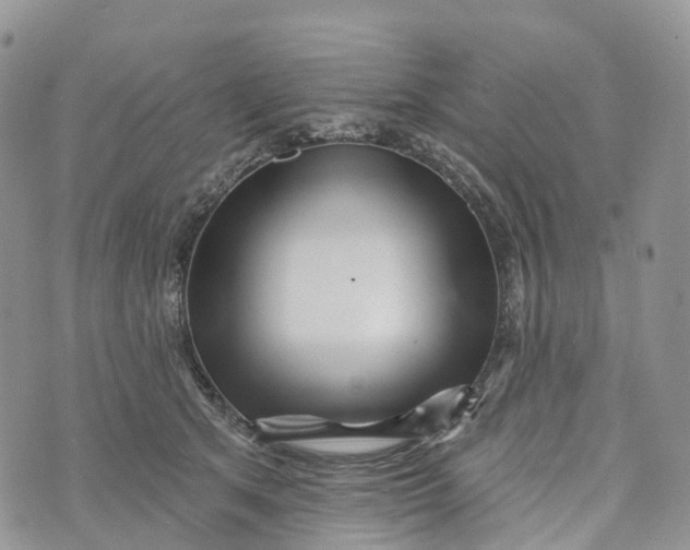 X0000072940513200608111604