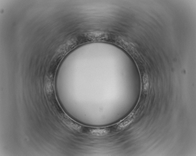 X0000072940515200608111604