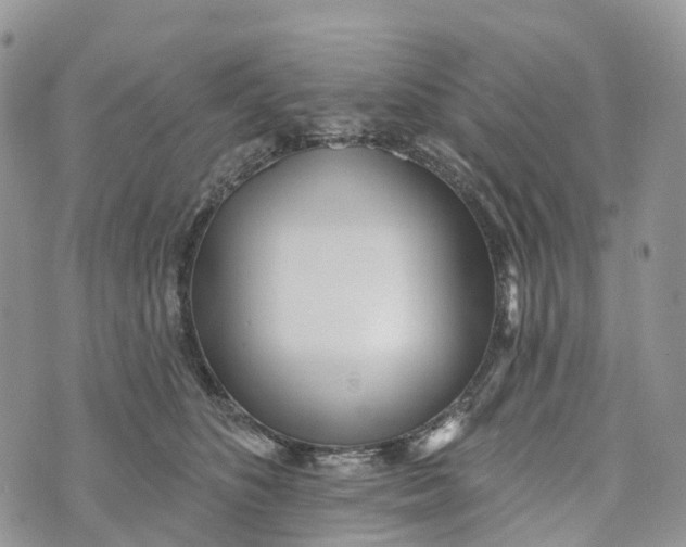 X0000072940516200608111604