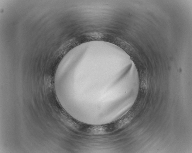 X0000072940518200608111604