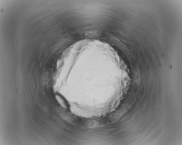 X0000072940519200608111604