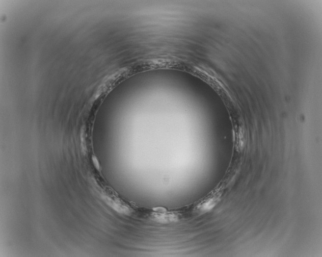 X0000072940520200608111603