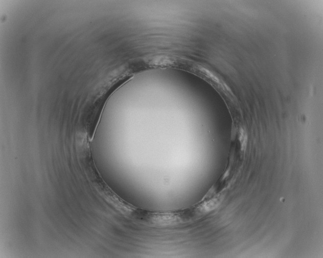 X0000072940521200608111603