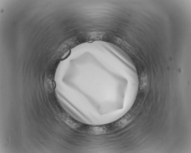 X0000072940522200608111603