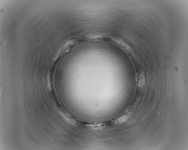 X0000072940524200608111603