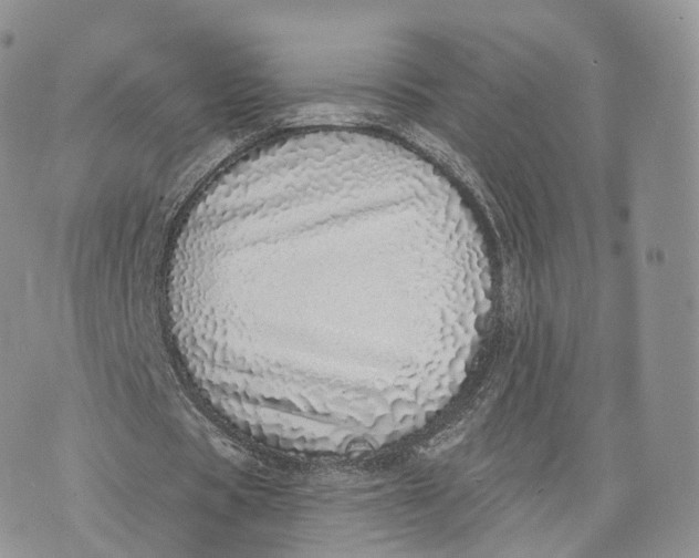 X0000072940529200608111603