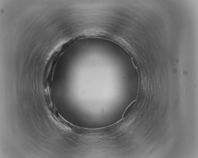 X0000072940530200608111603