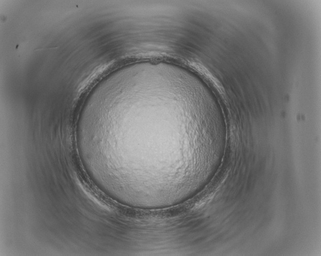 X0000072940533200608111603