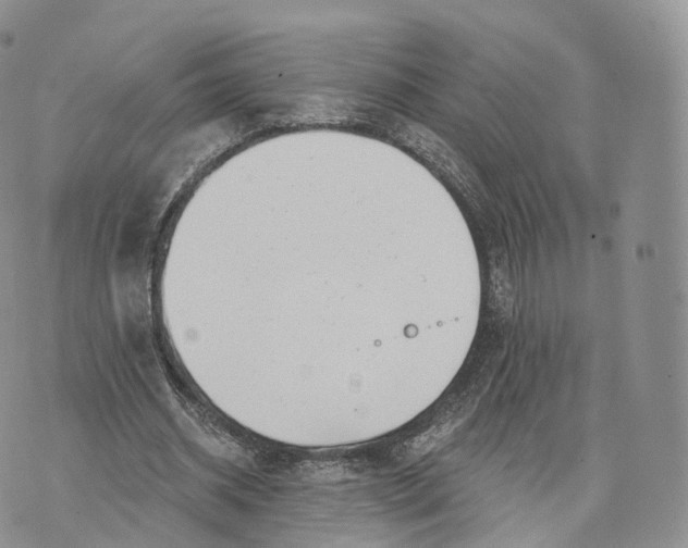 X0000072940534200608111603