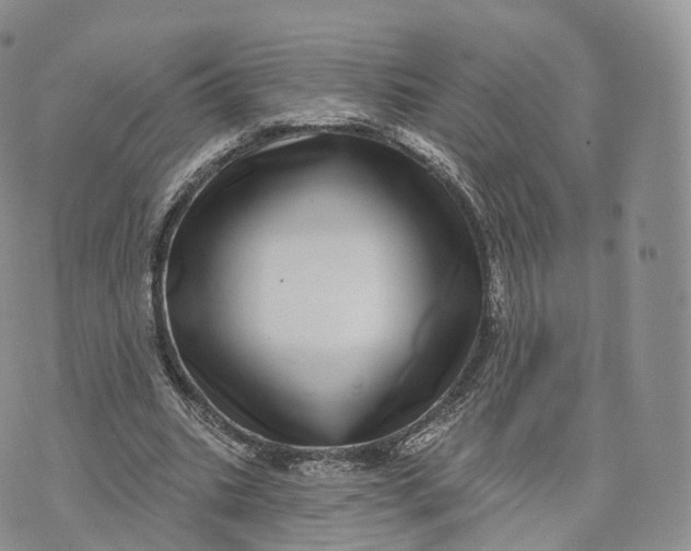 X0000072940535200608111603