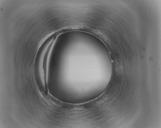 X0000072940536200608111603