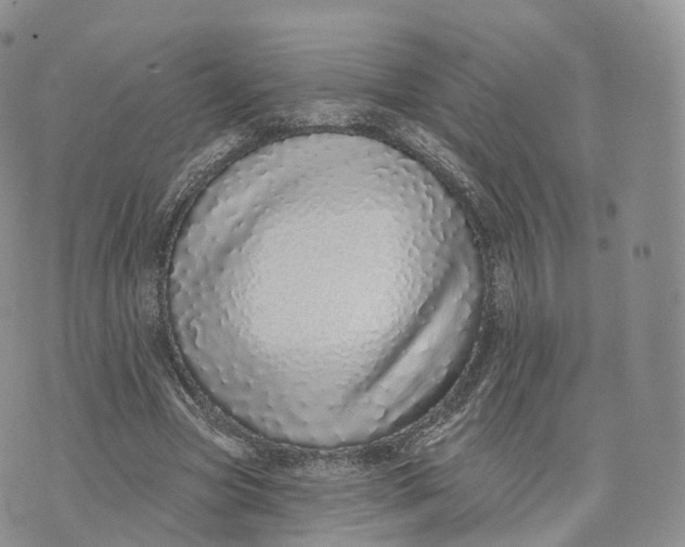 X0000072940537200608111603