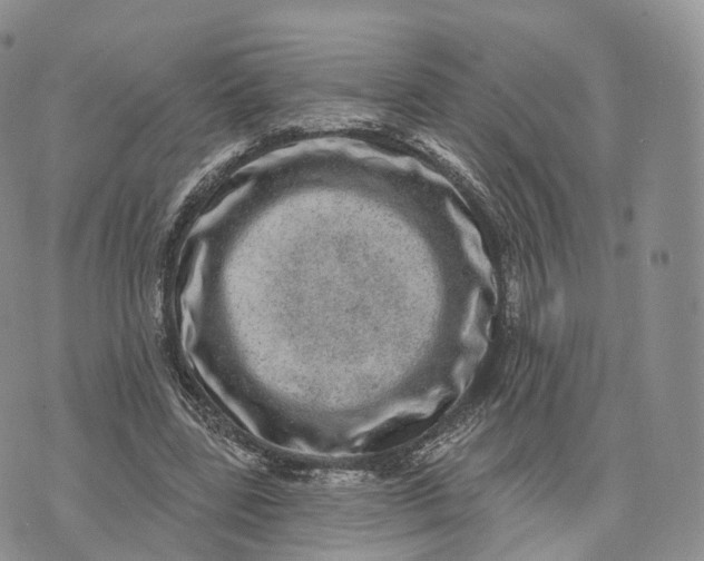 X0000072940539200608111603