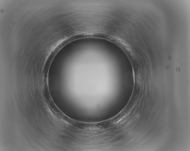 X0000072940540200608111603