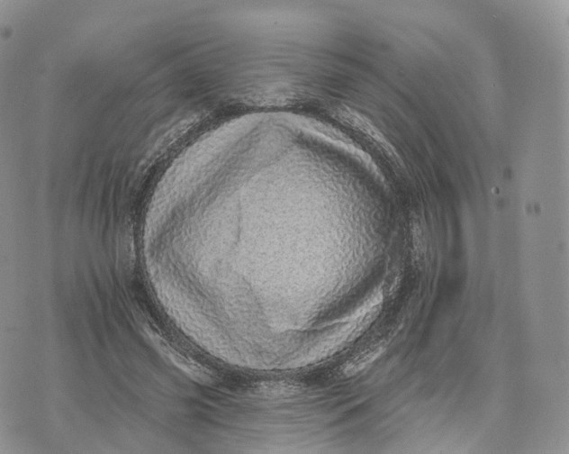 X0000072940541200608111603