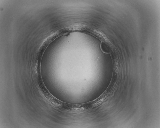 X0000072940543200608111603