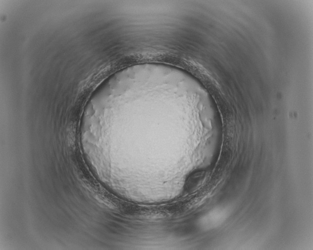 X0000072940545200608111603