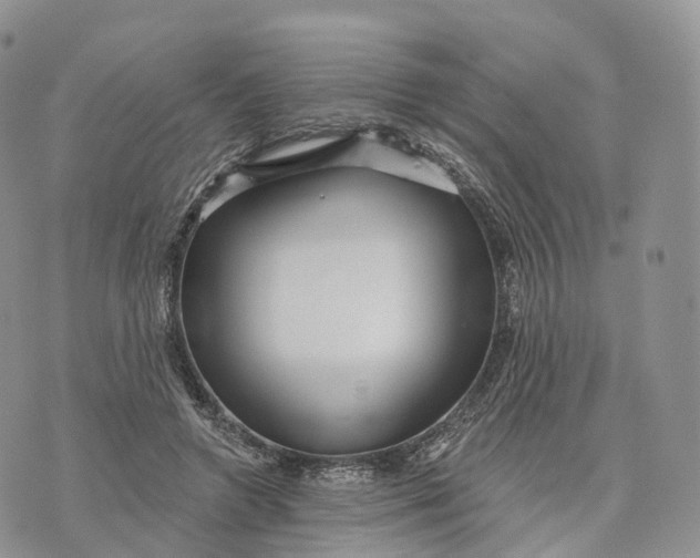 X0000072940546200608111603