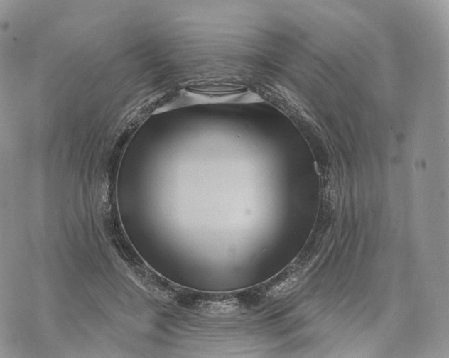 X0000072940548200608111603