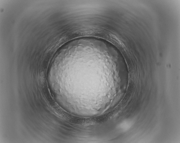 X0000072940549200608111603