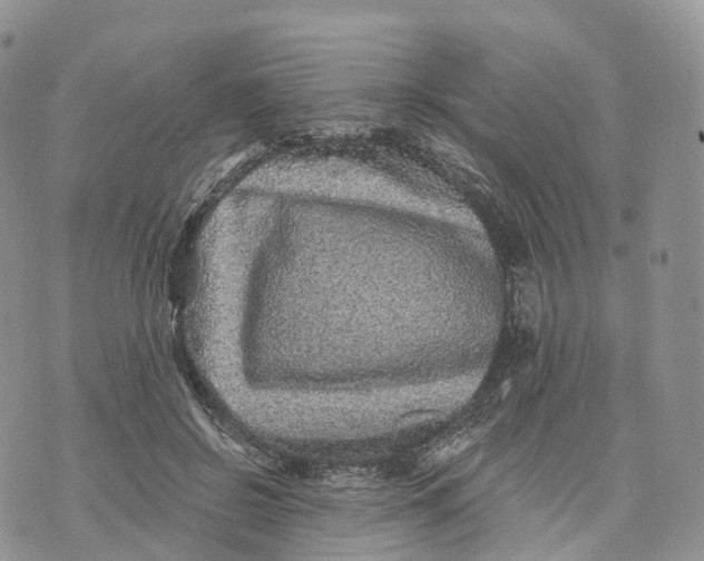 X0000072940550200608111603