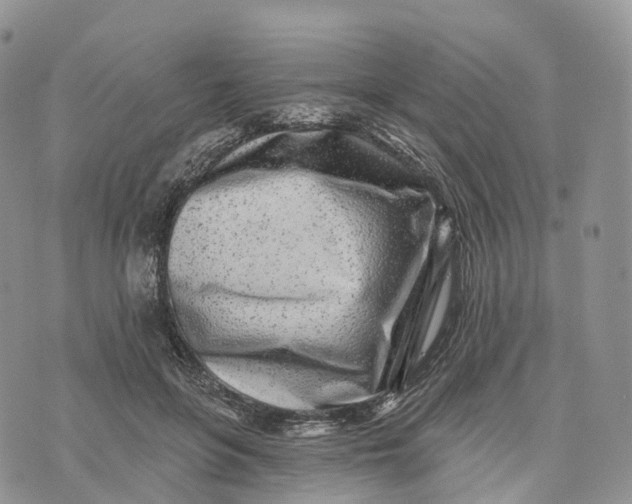 X0000072940551200608111603