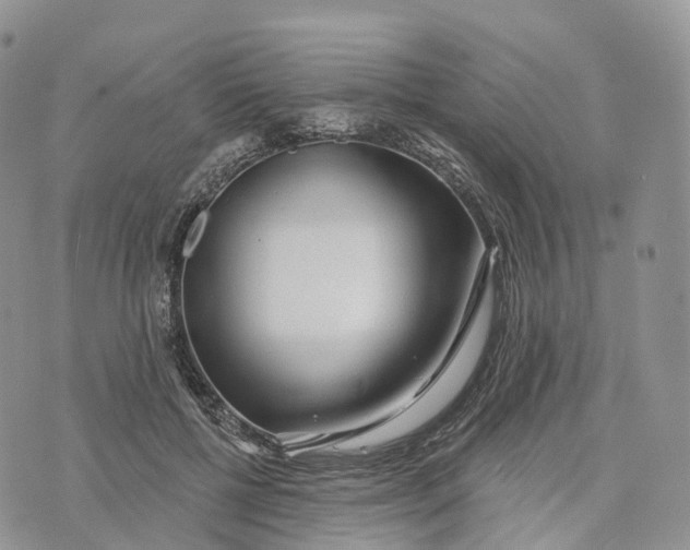 X0000072940552200608111603