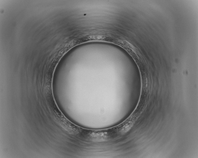 X0000072940553200608111603