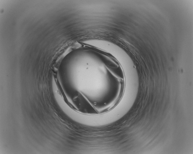 X0000072940556200608111603