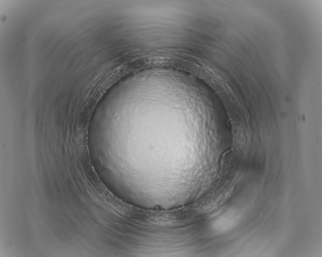 X0000072940557200608111603