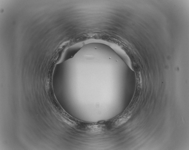 X0000072940558200608111603