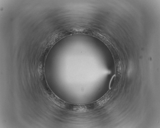 X0000072940559200608111603