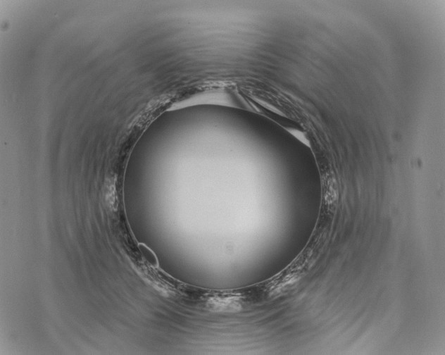 X0000072940560200608111603