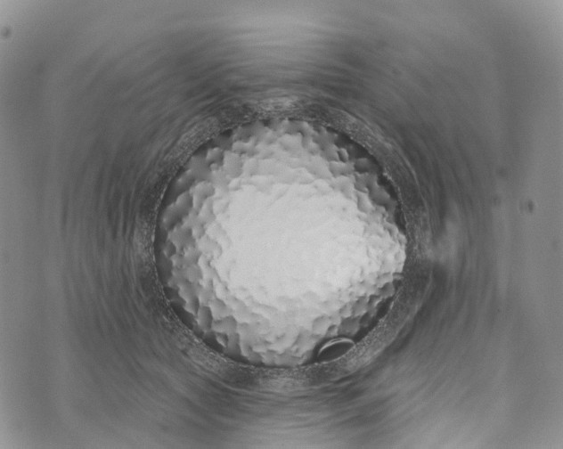 X0000072940561200608111603